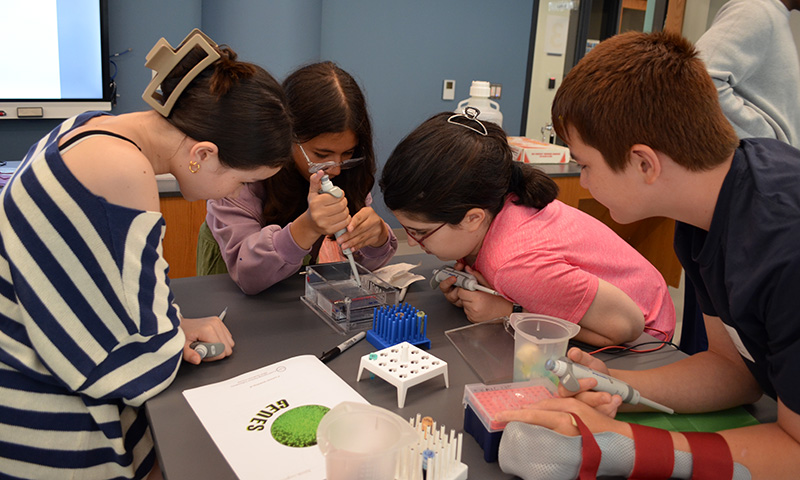 A group of students engaged in Gel Electrophoresis experiment, one student is using a micropipette to carefully inject a liquid sample into small wells within an agarose gel.