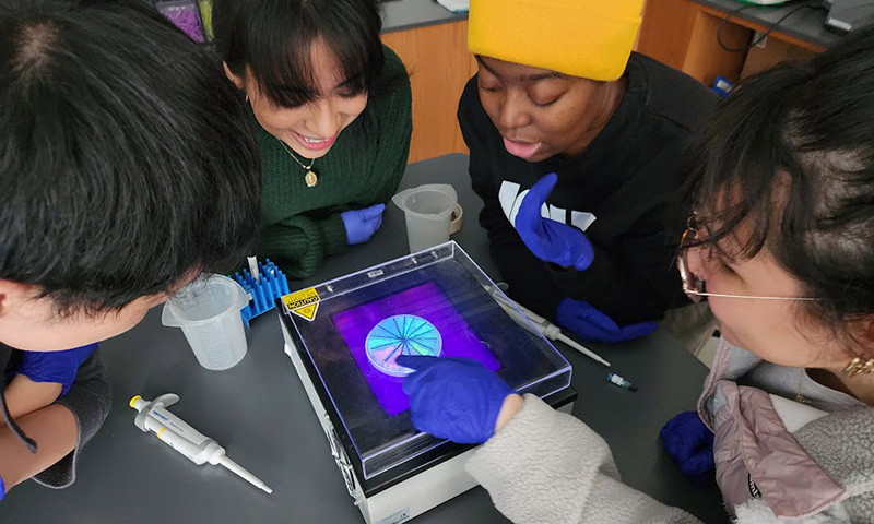 four students lean in to view a glowing petri dish over a blue light